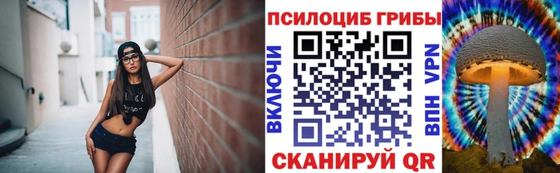 Галлюциногенные грибы Cubensis  что такое   Апрелевка 